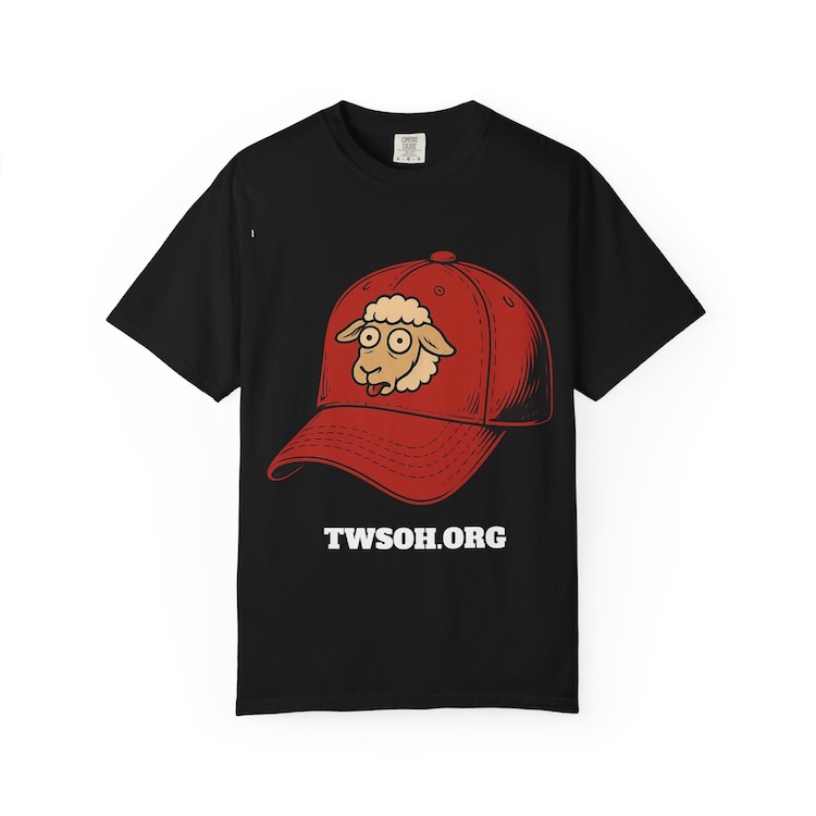 Democracy Defender hoodie worn in lifestyle setting